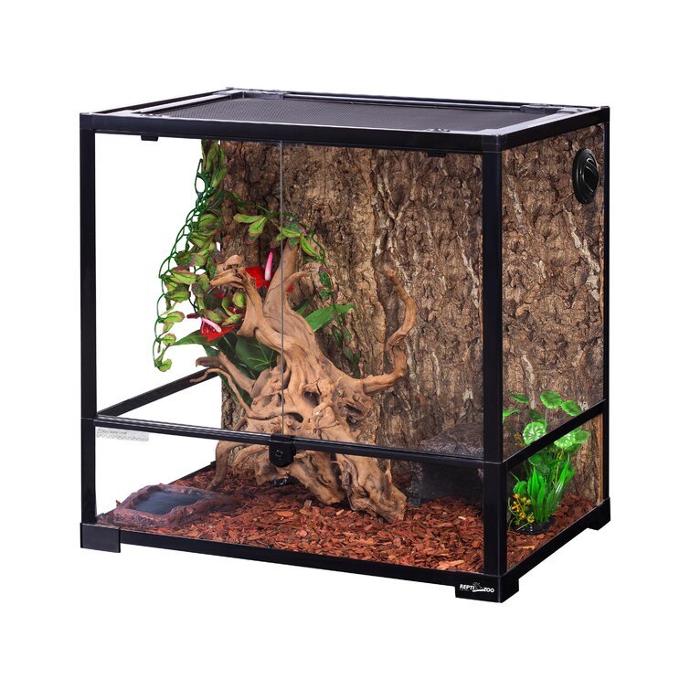 Reptile 2024 glass terrarium